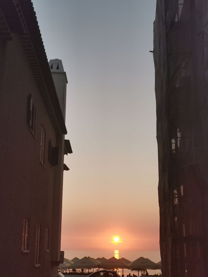 Me And My Mother Were Walking The Dog. We Were In Direction To The Beach