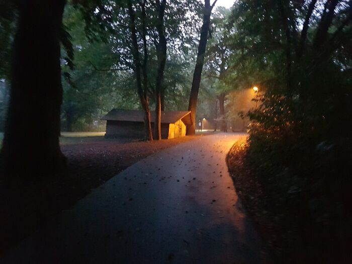 Your Average Morning Walk With The Dog