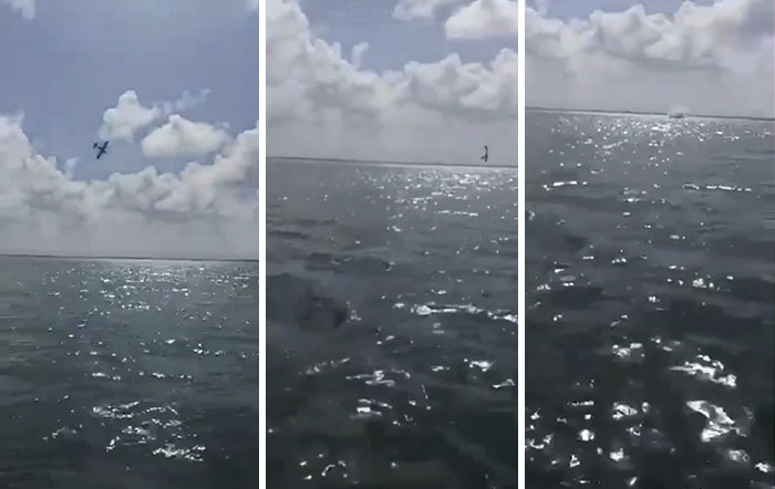 In Cancun During A Gender Reveal Party