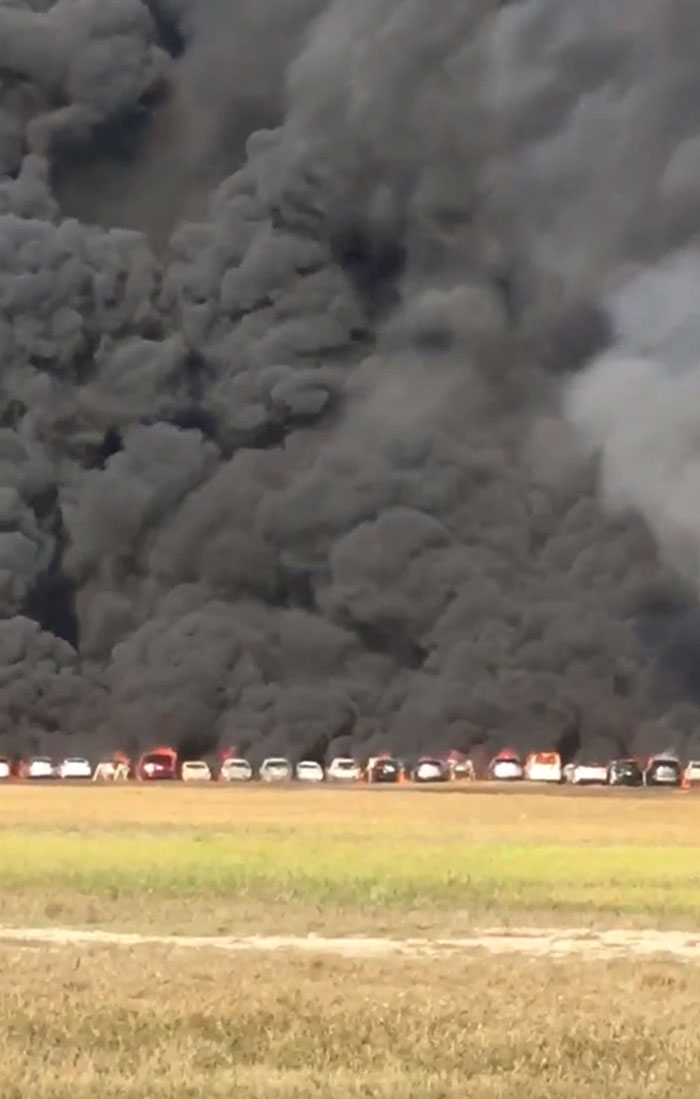 Parked Several Thousand Hot Rental Cars On A Dry Grass Overflow Lot In South Florida