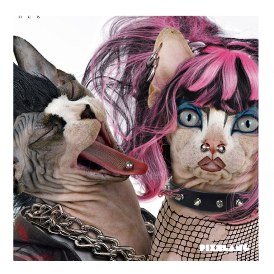 We Love To Be Creative With Animals We Love To Be Creative With Animals