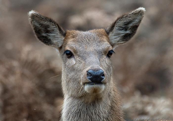 35 "Oddly Specific" Rules People Encountered That Require An Explanation