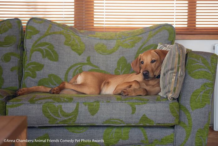 Paint Me Like One Of Your French Girls! By Anna Chambers