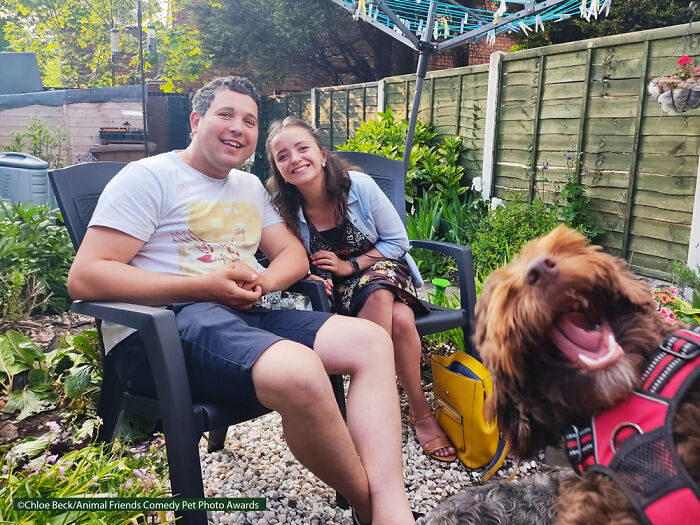 Hugo The Photobomber! By Chloe Beck