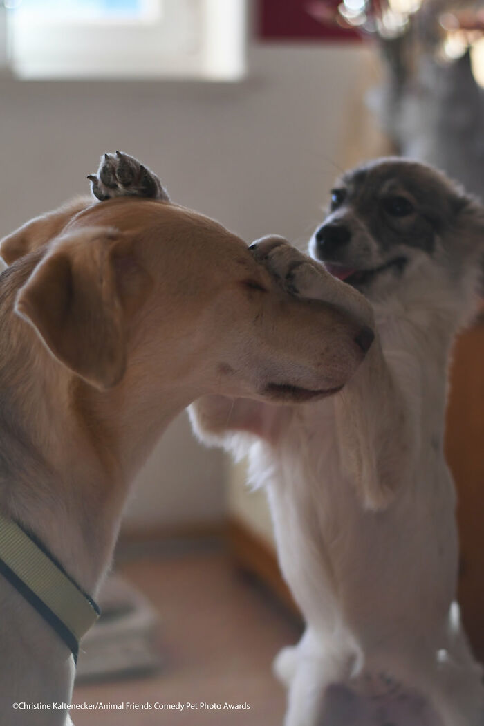 A Little Massage By Christine Kaltenecker