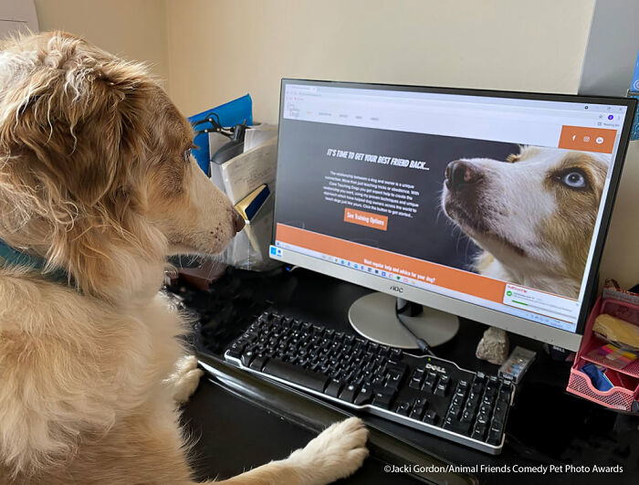 Home Skooling By Jacki Gordon