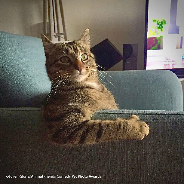 Chilling Ludwig By Julien Gloria