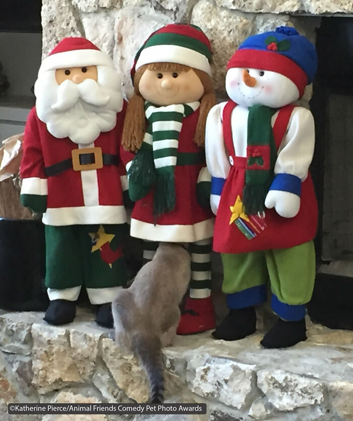 Where Did Everybody Go? By Katherine Pierce