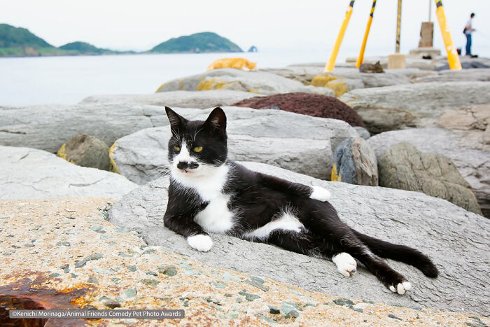 Freddie & Alison By Ken Whalley