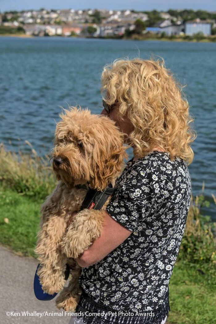 Cat Model By Kenichi Morinaga