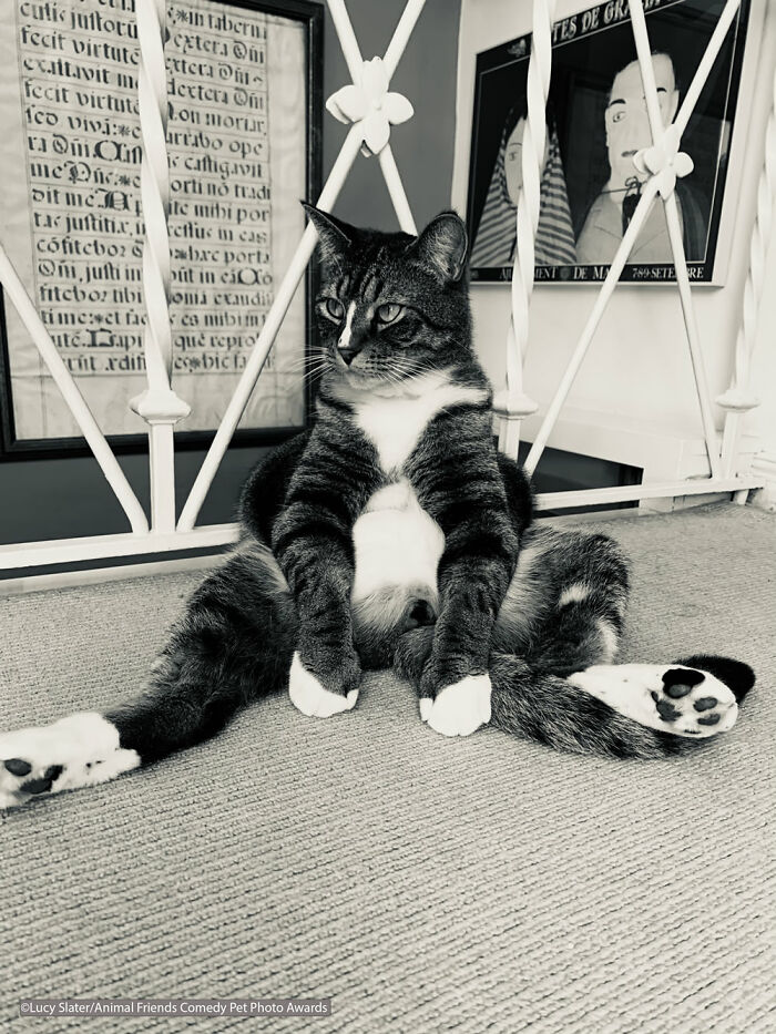 So What? By Lucy Slater