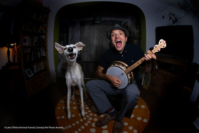 Muttford And Chum By Luke O’brien