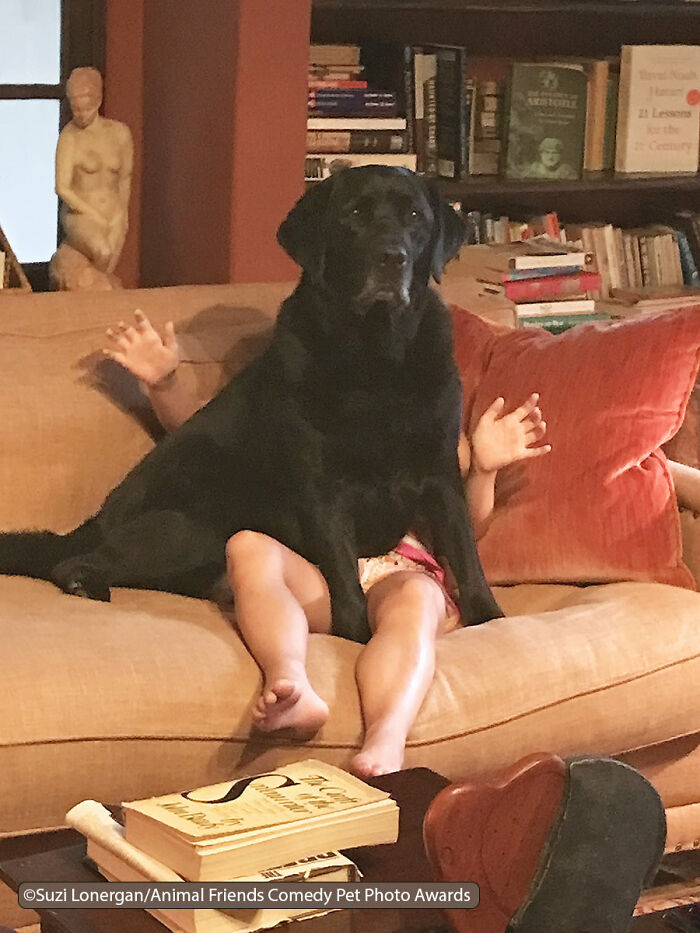 Sit By Suzi Lonergan