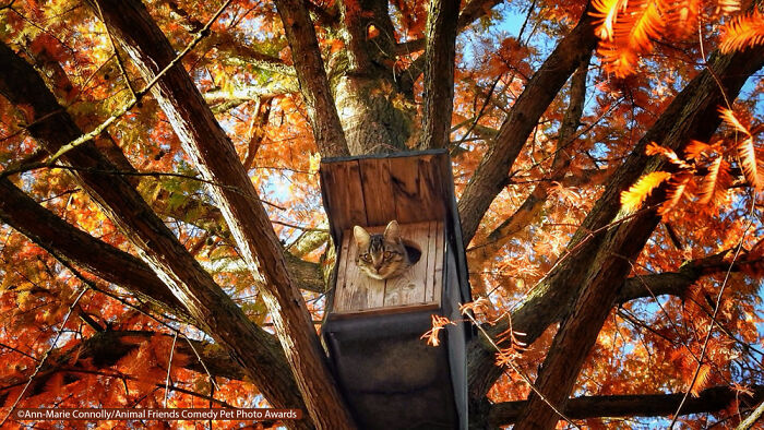 House Squatter! By Thomas Marlie