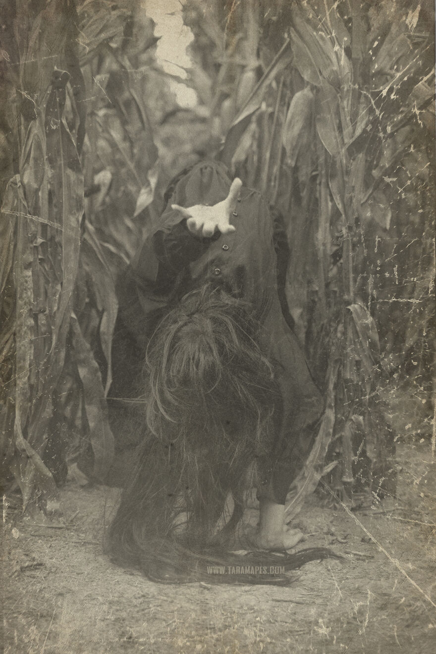I Photographed Creepy Clowns In A Cornfield Because I Love Vintage Horror Halloween Images