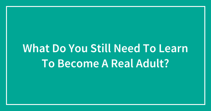 Hey Pandas, What Do You Still Need To Learn To Become A Real Adult? (Closed)