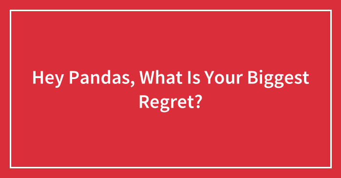 Hey Pandas, What Is Your Biggest Regret? (Closed)