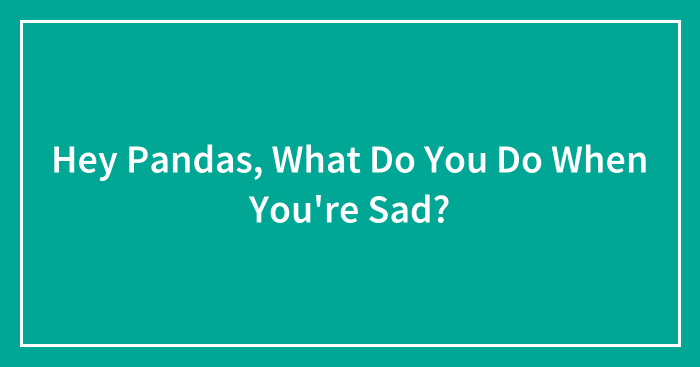 Hey Pandas, What Do You Do When You’re Sad? (Closed)