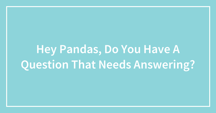Hey Pandas, Do You Have A Question That Needs Answering? (Closed)