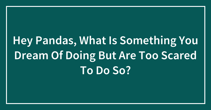 Hey Pandas, What Is Something You Dream Of Doing But Are Too Scared To Do So? (Closed)
