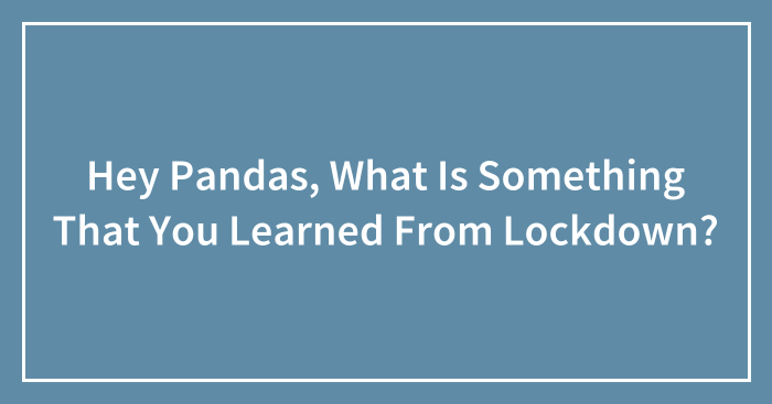 Hey Pandas, What Is Something That You Learned From Lockdown? (Closed)