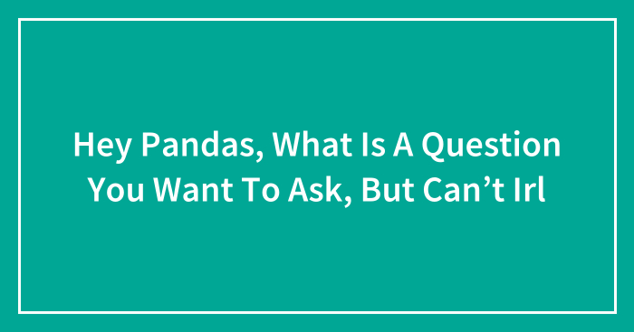 Hey Pandas, What Is A Question You Want To Ask, But Can’t Irl (Closed)