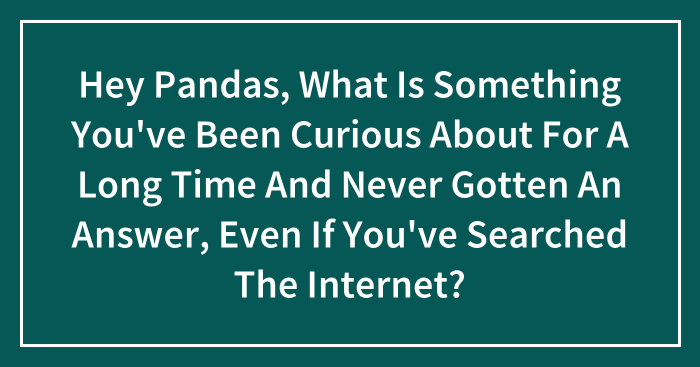 Hey Pandas, What Is Something You’ve Been Curious About For A Long Time And Never Gotten An Answer, Even If You’ve Searched The Internet?