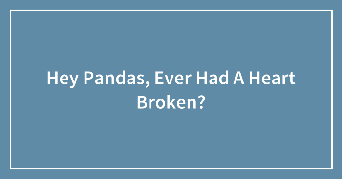 Hey Pandas, Ever Had A Heart Broken?