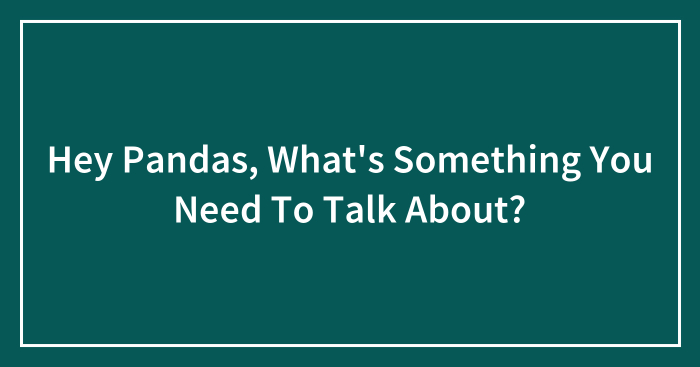 Hey Pandas, What’s Something You Need To Talk About? (Closed)
