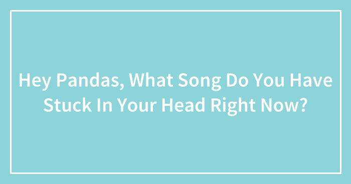 Hey Pandas, What Song Do You Have Stuck In Your Head Right Now?