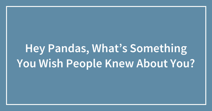 Hey Pandas, What’s Something You Wish People Knew About You? (Closed)