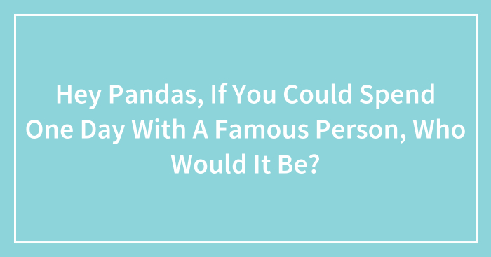 Hey Pandas, If You Could Spend One Day With A Famous Person, Who Would It Be? (Closed)