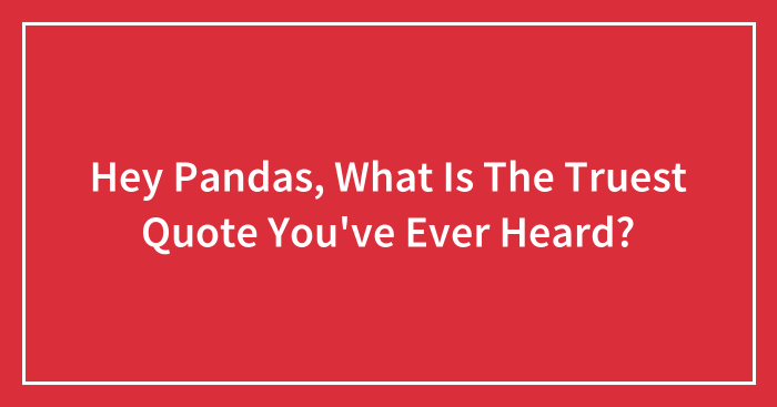 Hey Pandas, What Is The Truest Quote You’ve Ever Heard? (Closed)