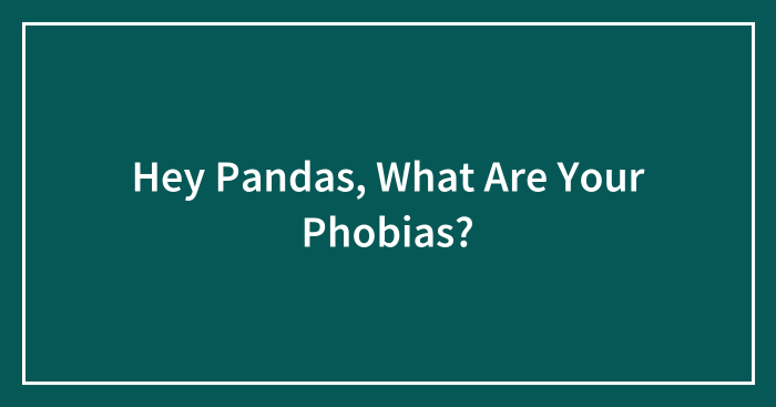 Hey Pandas, What Are Your Phobias? (Closed)