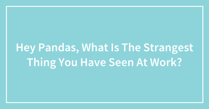 Hey Pandas, What Is The Strangest Thing You Have Seen At Work?