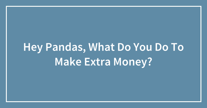 Hey Pandas, What Do You Do To Make Extra Money? (Closed)