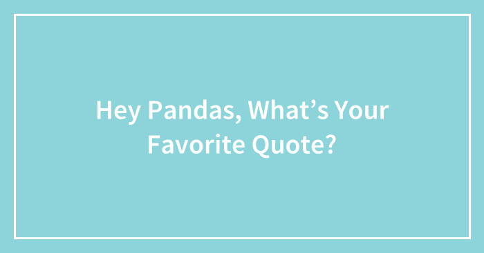 Hey Pandas, What’s Your Favorite Quote? (Closed)