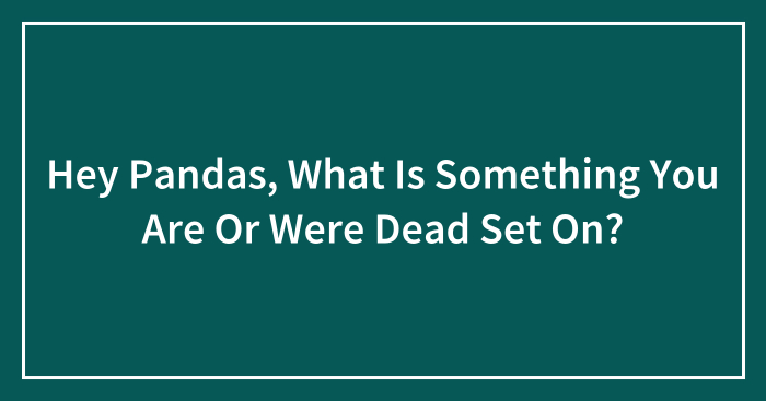 Hey Pandas, What Is Something You Are Or Were Dead Set On? (Closed)