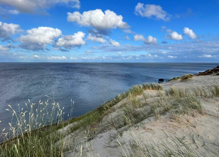 Hey Pandas, Since The Summer Is Over, Show Us Your Favorite Summer 2021 Moment (Closed)