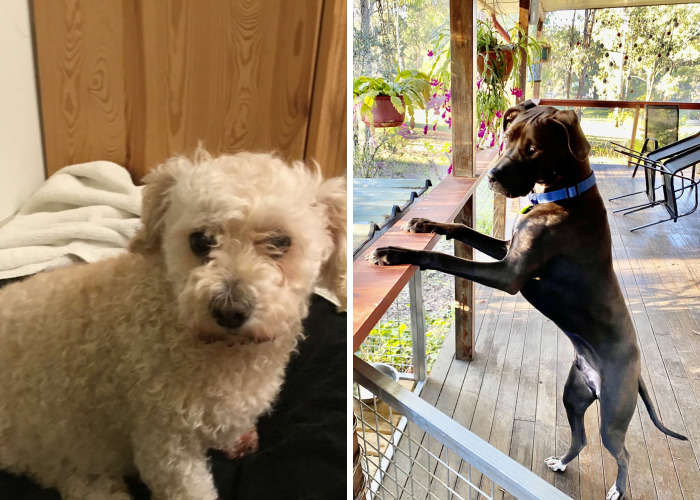 Hey Pandas, Post Your Favorite Animal Picture (Closed)