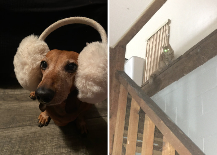 Hey Pandas, Post Your Funniest And Weirdest Screenshot