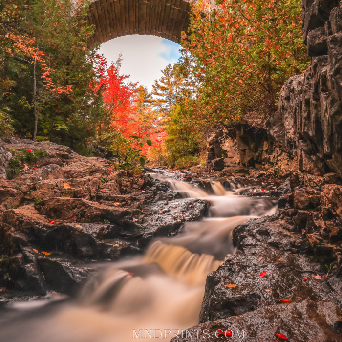 I’m Ready For Fall Photography (4 Pics)