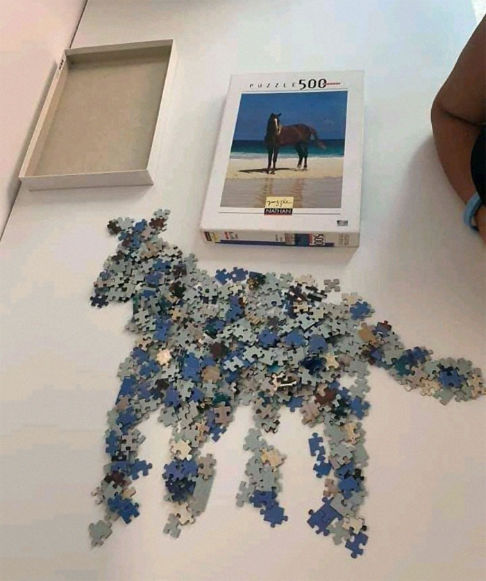 Unassembled horse puzzle pieces arranged loosely on table with puzzle box, showcasing weird Instagram account content.