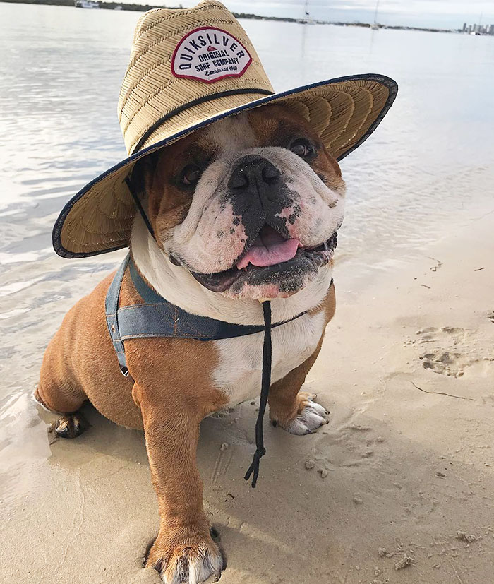 This Is My New Back Yard