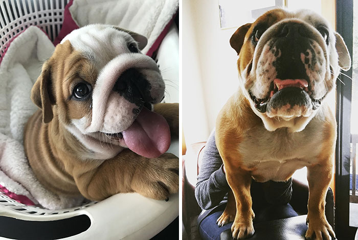 How It Was - How It's Going