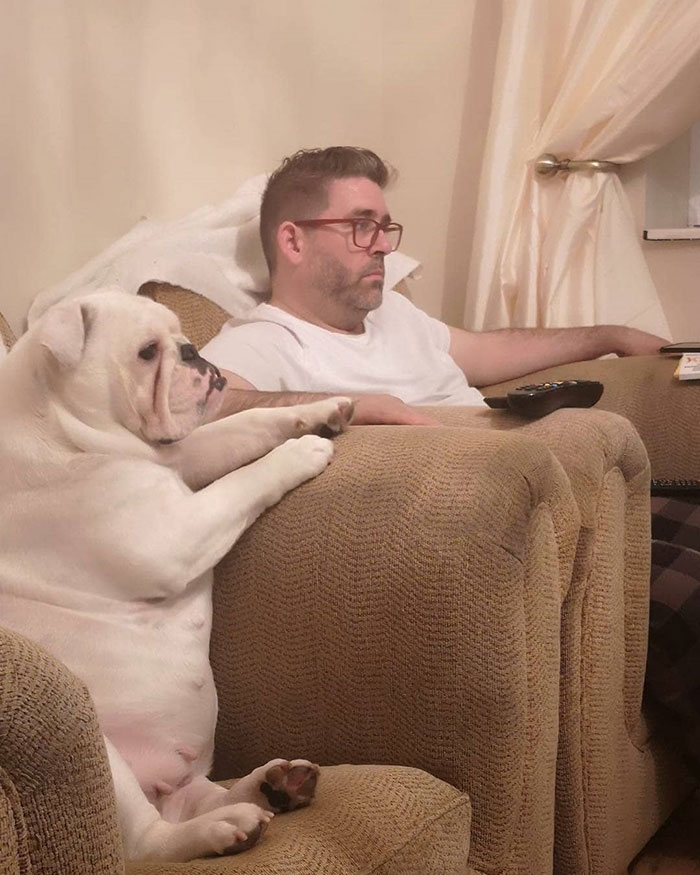 When Start To Resemble Their Owners