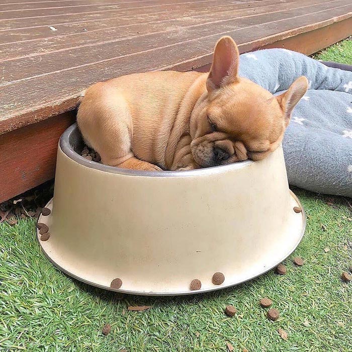 Snacks Time Or Nap Time?