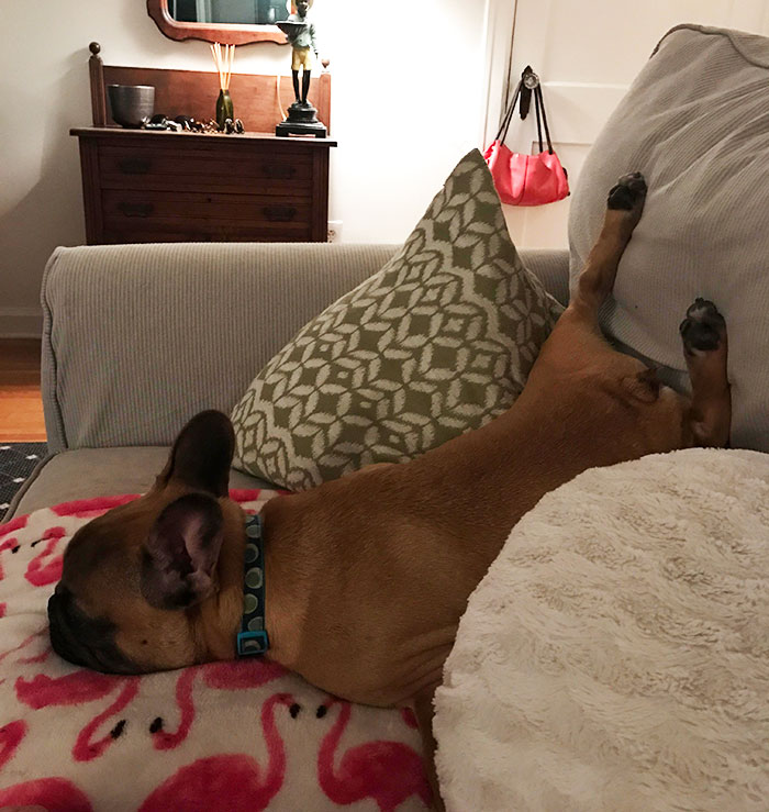 When You're So Tired That You Pass Out However You Land