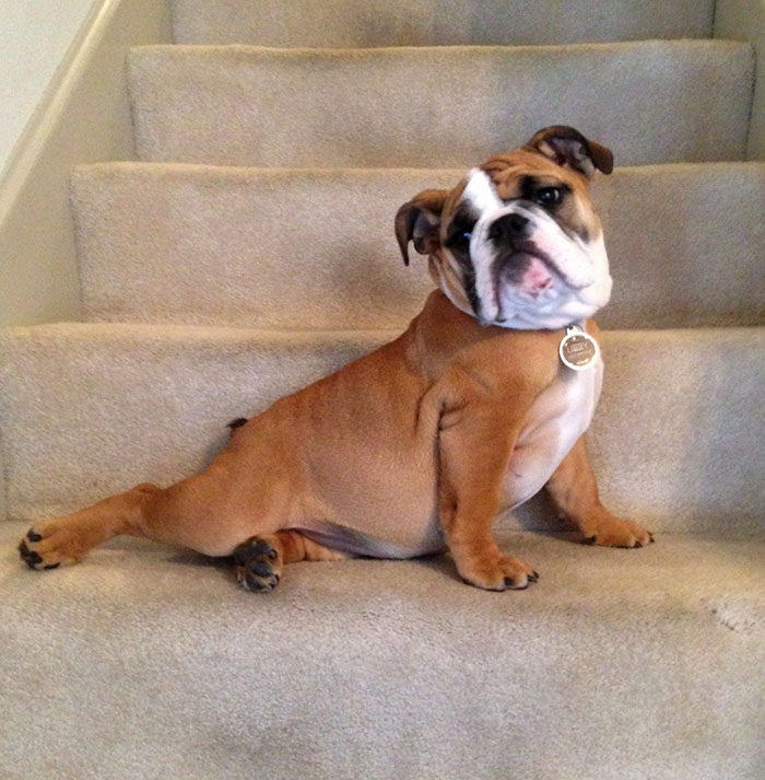 The Timeless Art Of Seduction