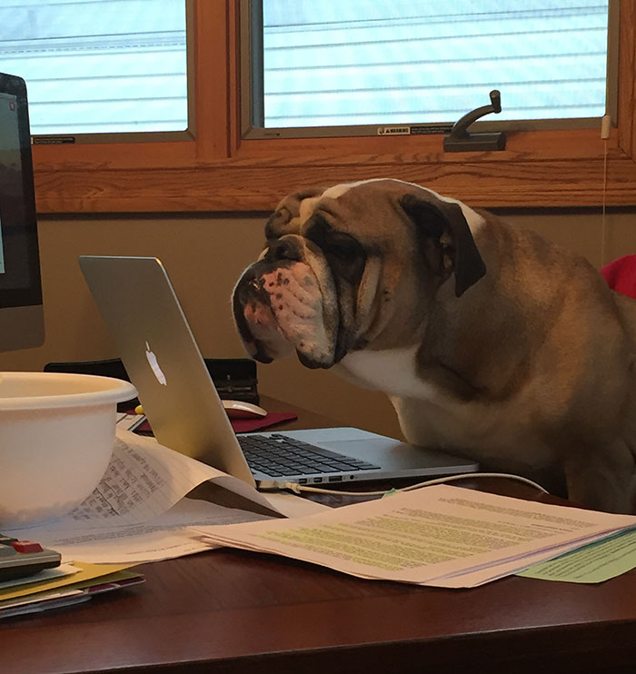 Bentley Getting Ready For Finals